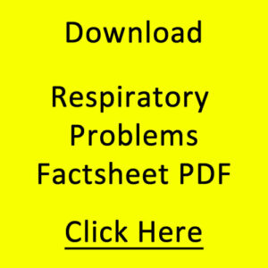 Respiratory Problems Factsheet