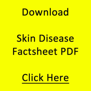 Skin Disease Factsheet